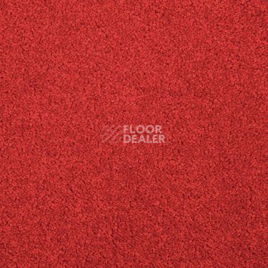 Ковровая плитка Modulyss Cambridge Xtra 30 f фото 1 | FLOORDEALER
